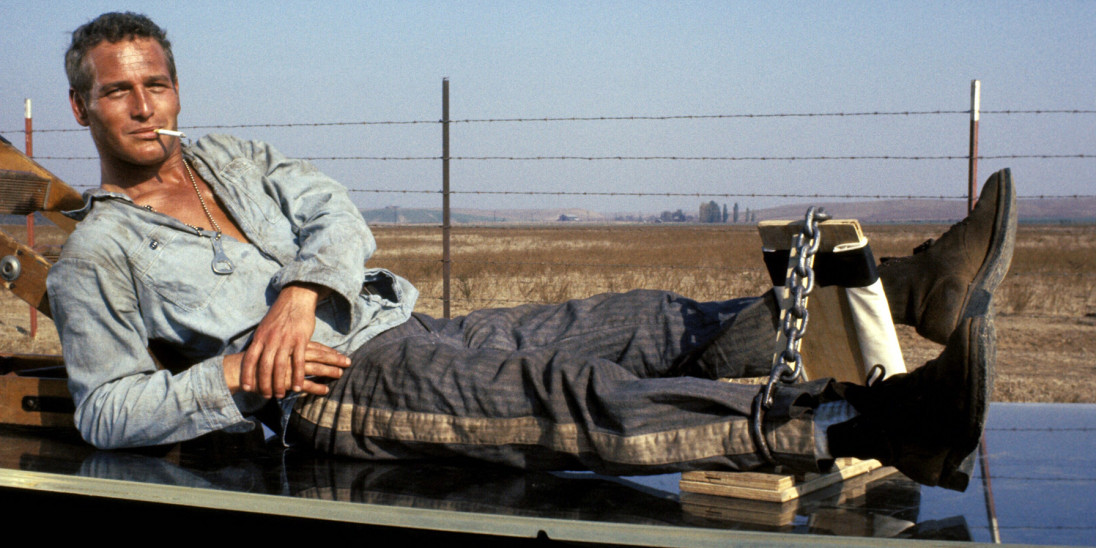 Film - Cool Hand Luke - Into Film