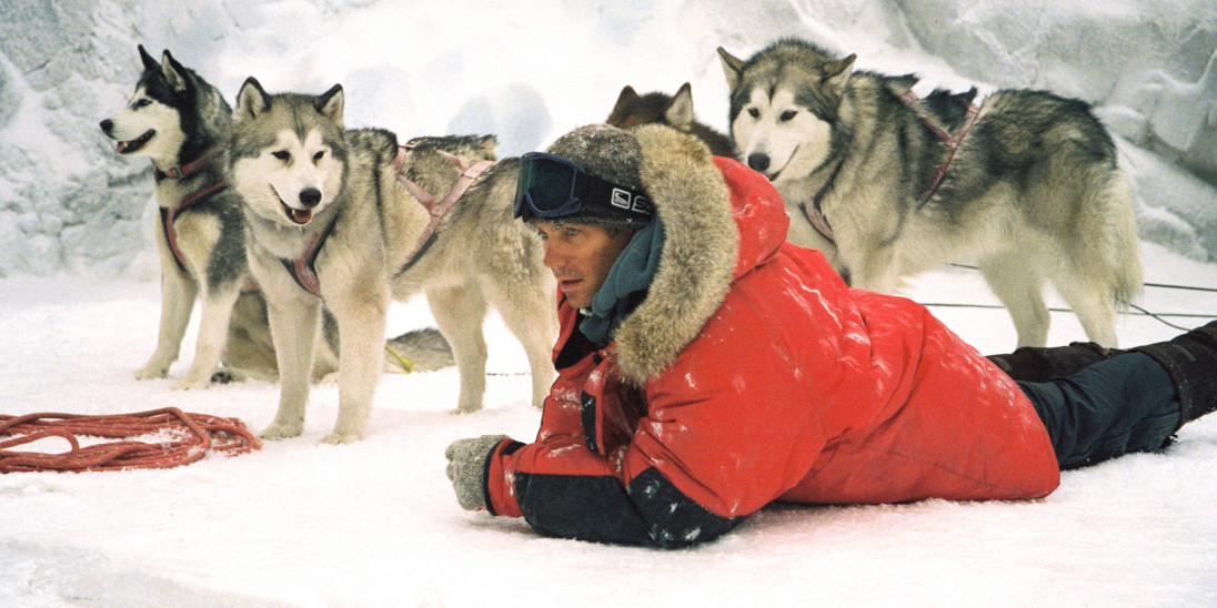 Film Eight Below Into Film