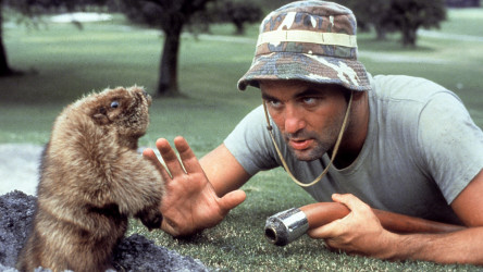 Caddyshack